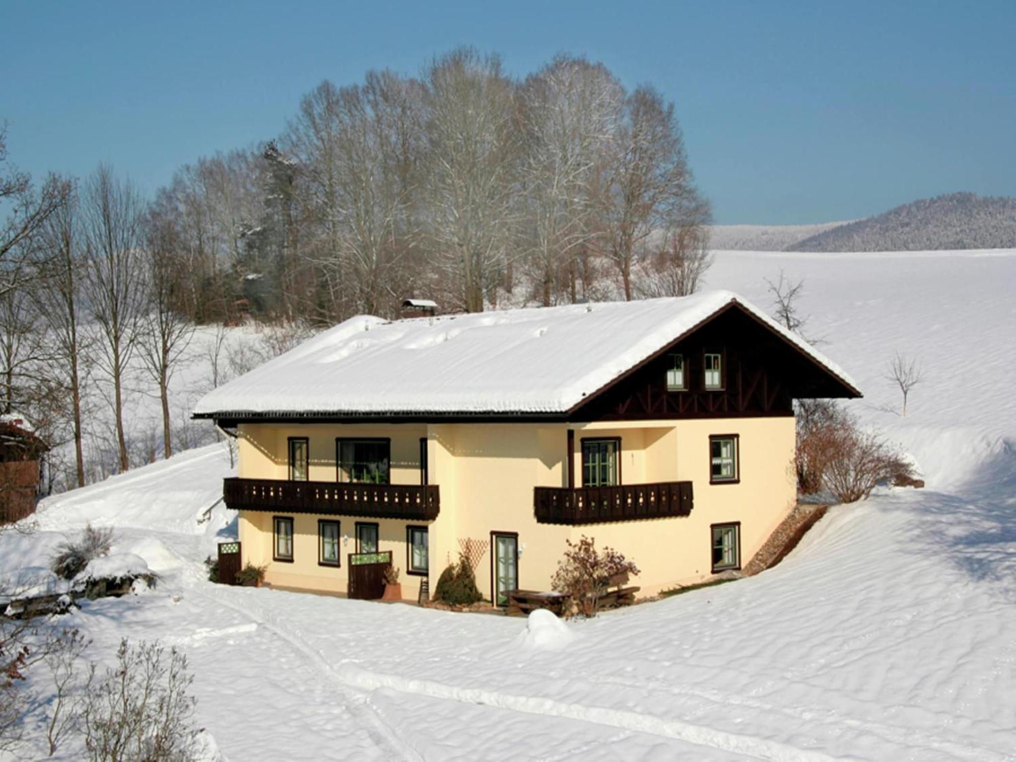 Holiday Home With Sauna Near A Ski Resort Drachselsried Eksteriør bilde
